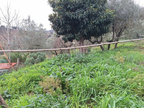 appartamento in vendita a Collesalvetti in zona Parrana San Martino