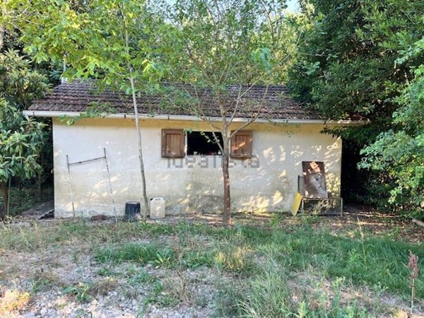 terreno agricolo in vendita a Collesalvetti