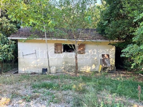 terreno agricolo in vendita a Collesalvetti