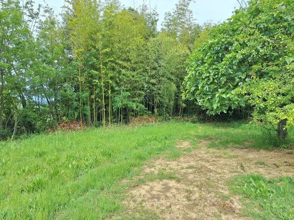 terreno agricolo in vendita a Collesalvetti