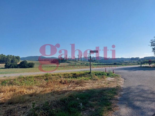 terreno agricolo in vendita a Collesalvetti