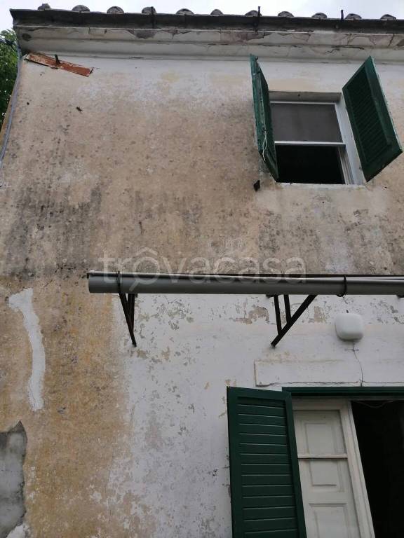 casa indipendente in vendita a Collesalvetti