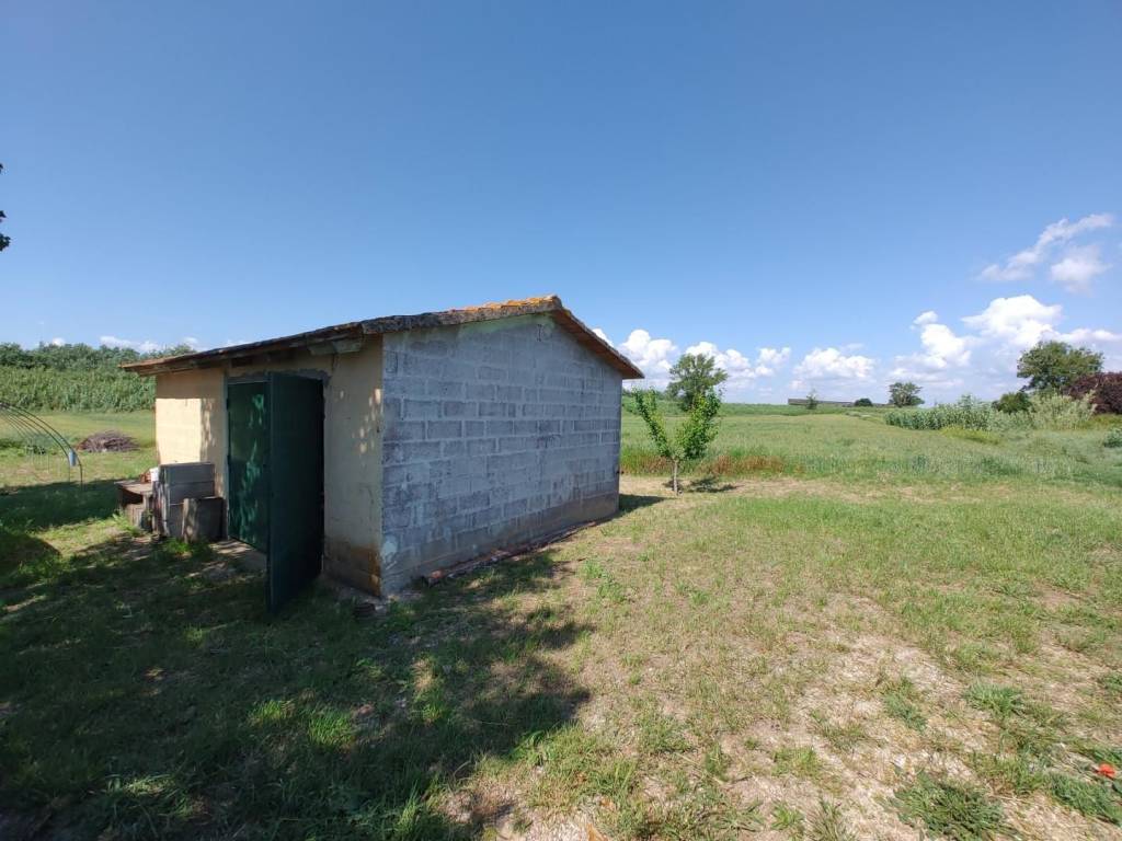 terreno agricolo in vendita a Collesalvetti