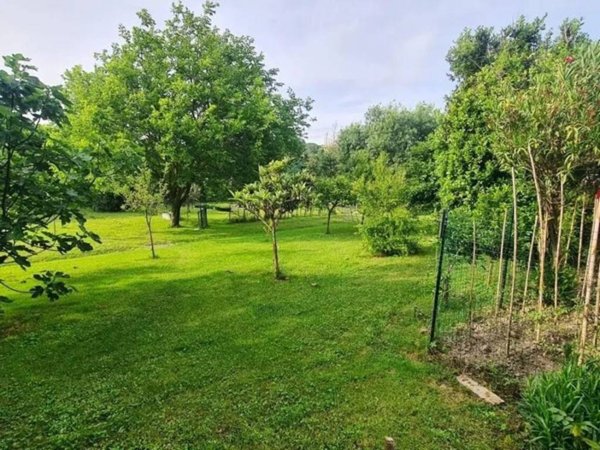 terreno agricolo in vendita a Collesalvetti