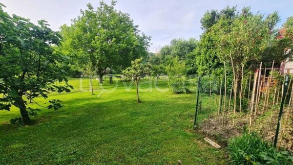 terreno agricolo in vendita a Collesalvetti