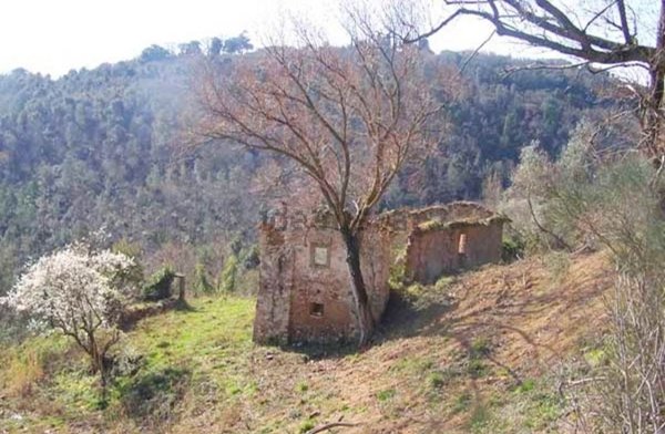 casale in vendita a Collesalvetti in zona Colognole