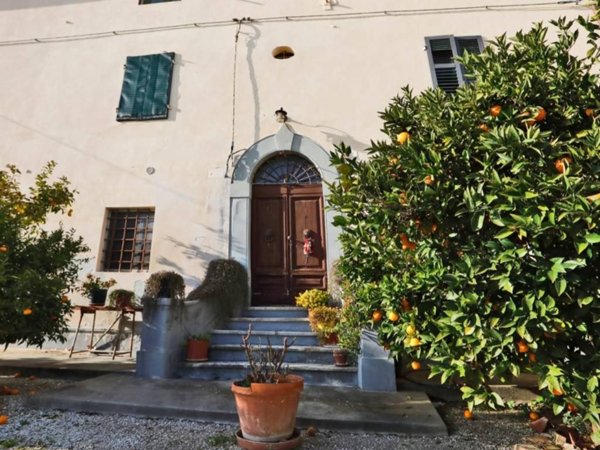 immagine annuncio 0 di 5