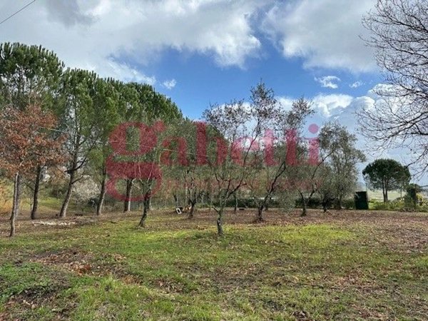 casa indipendente in vendita a Collesalvetti