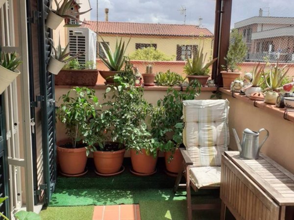 appartamento in vendita a Collesalvetti in zona Vicarello