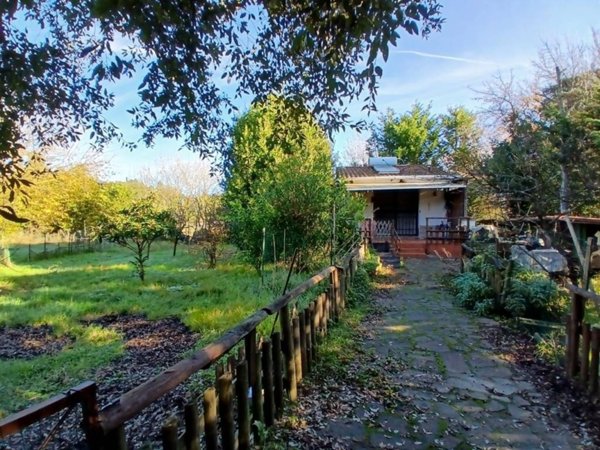 terreno agricolo in vendita a Collesalvetti