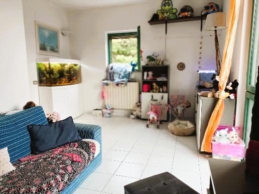 casa indipendente in vendita a Collesalvetti