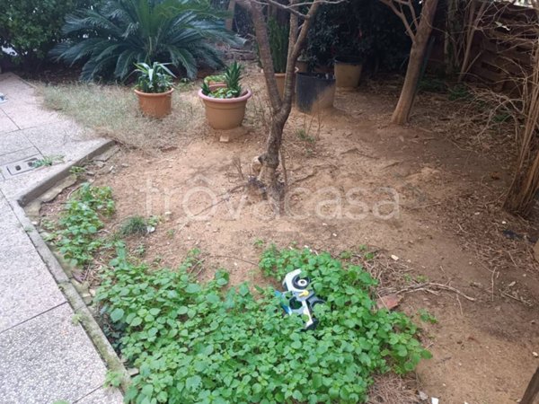 appartamento in vendita a Collesalvetti in zona Stagno