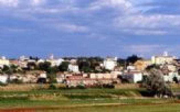 locale commerciale in vendita a Collesalvetti