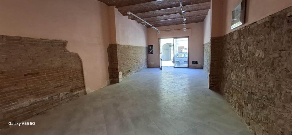 locale commerciale in vendita a Collesalvetti