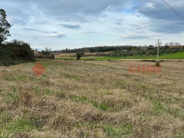 terreno agricolo in vendita a Collesalvetti
