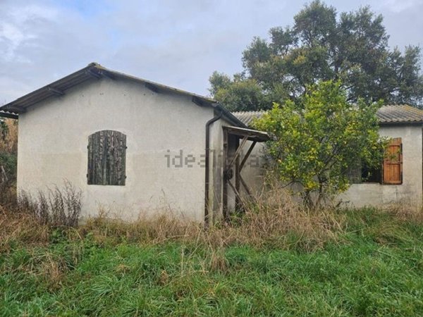 locale di sgombero in vendita a Collesalvetti