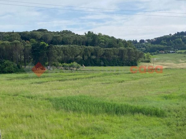 terreno agricolo in vendita a Collesalvetti