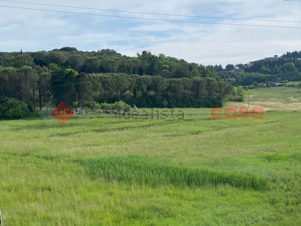 terreno agricolo in vendita a Collesalvetti