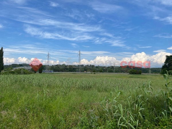terreno agricolo in vendita a Collesalvetti