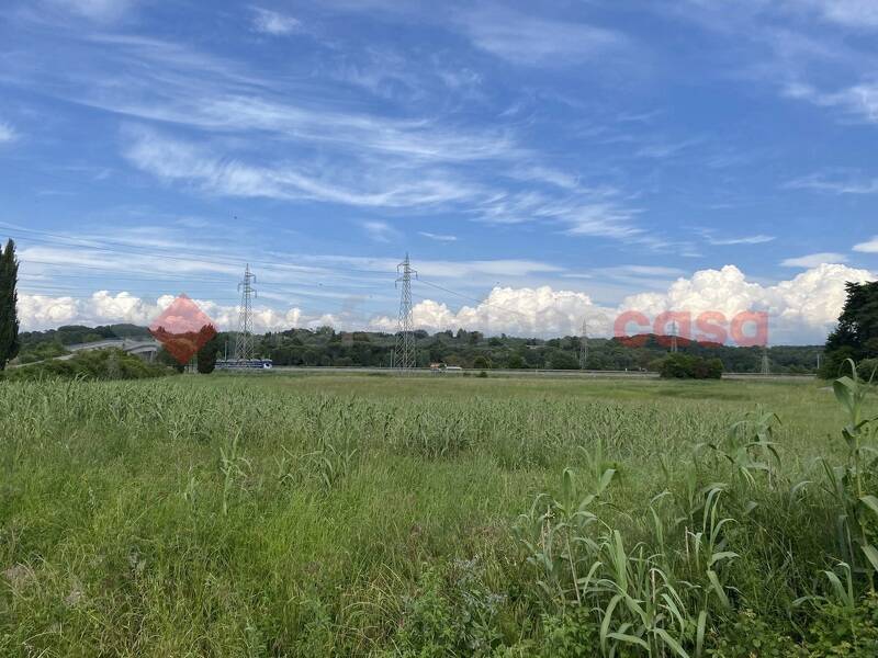 terreno agricolo in vendita a Collesalvetti