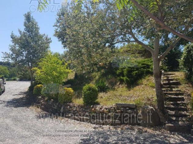 locale commerciale in vendita a Collesalvetti