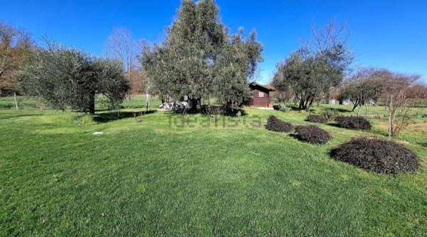terreno agricolo in vendita a Collesalvetti