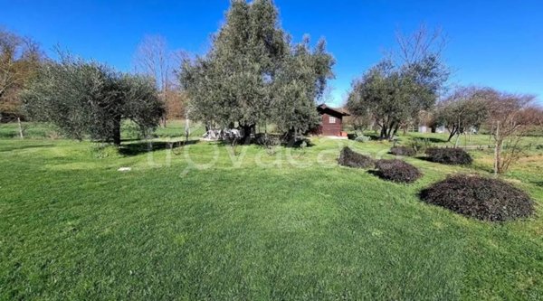 terreno agricolo in vendita a Collesalvetti