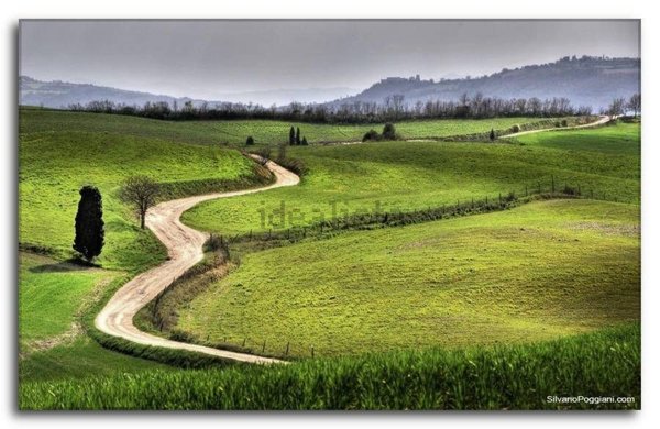 villa in vendita a Collesalvetti