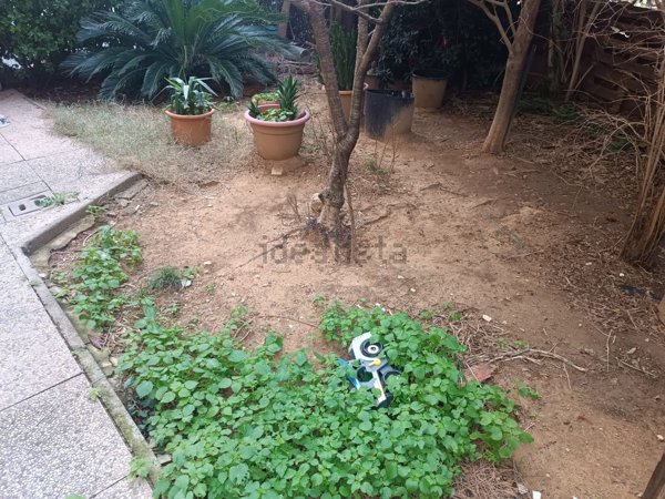 appartamento in vendita a Collesalvetti