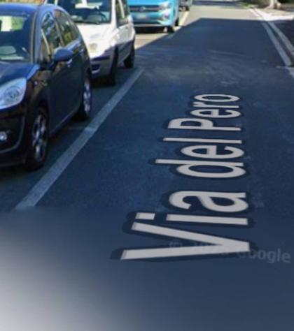 terreno agricolo in vendita a Collesalvetti in zona Vicarello