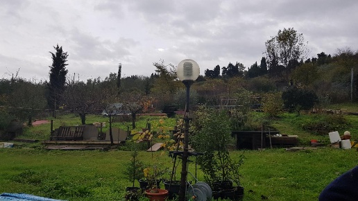 appartamento in vendita a Collesalvetti