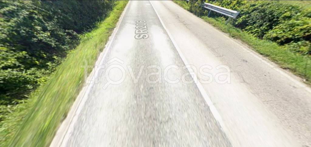 terreno agricolo in vendita a Collesalvetti