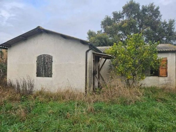 locale di sgombero in vendita a Collesalvetti