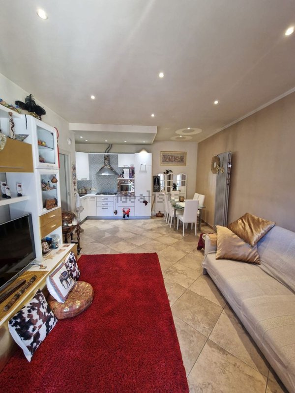 appartamento in vendita a Collesalvetti