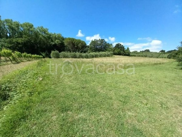 casa indipendente in vendita a Collesalvetti in zona Castell'Anselmo