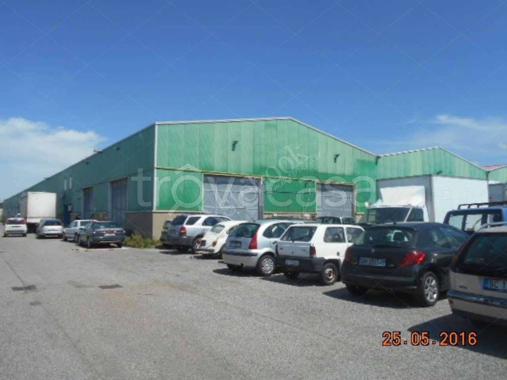 appartamento in vendita a Collesalvetti