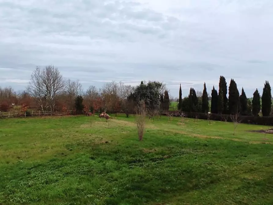 terreno edificabile in vendita a Collesalvetti