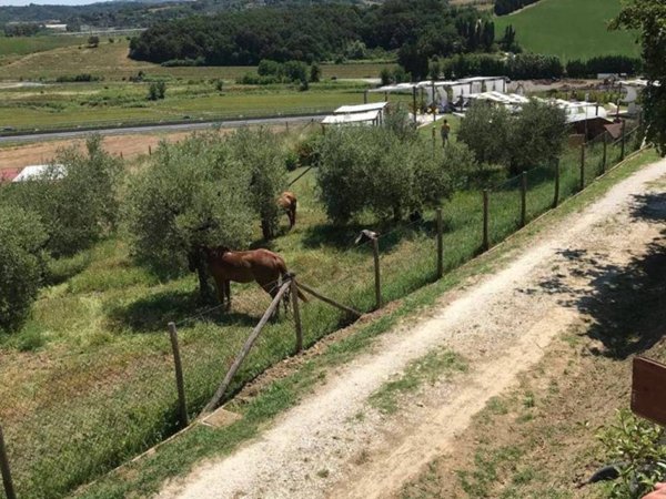terreno agricolo in vendita a Collesalvetti in zona Castell'Anselmo