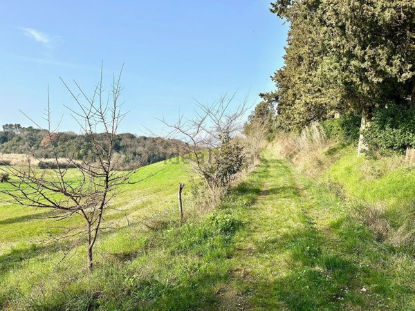 appartamento in vendita a Collesalvetti