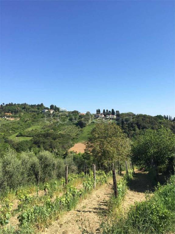 appartamento in vendita a Collesalvetti in zona Colognole