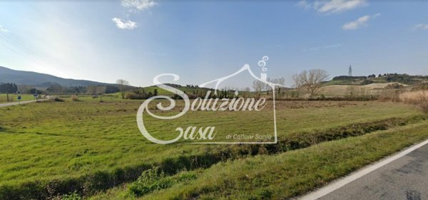 terreno agricolo in vendita a Collesalvetti