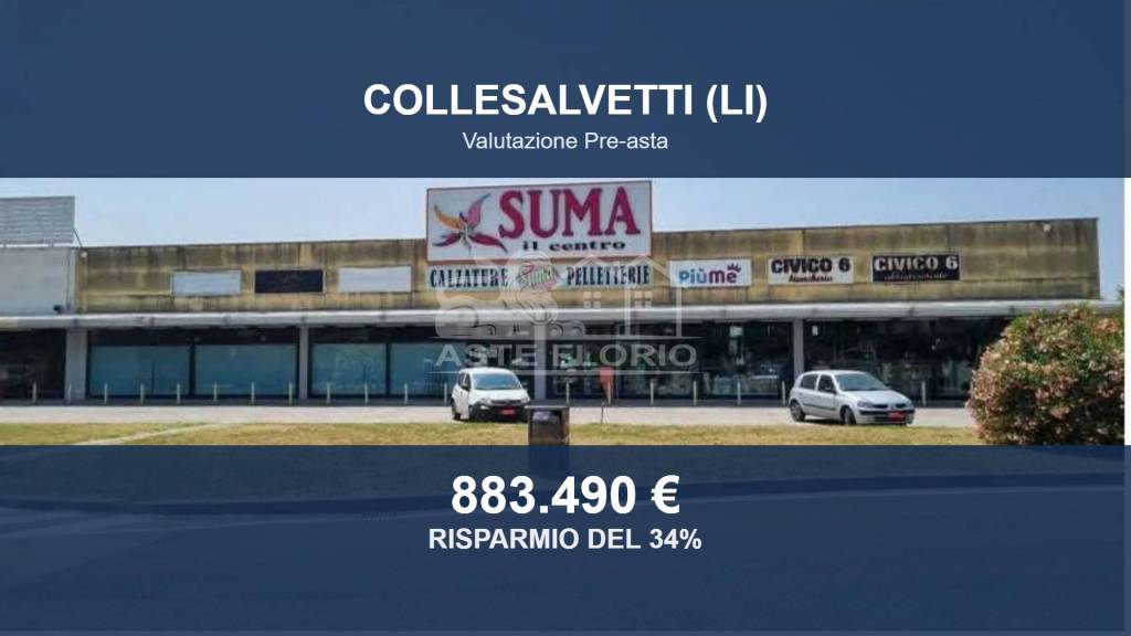 negozio in vendita a Collesalvetti