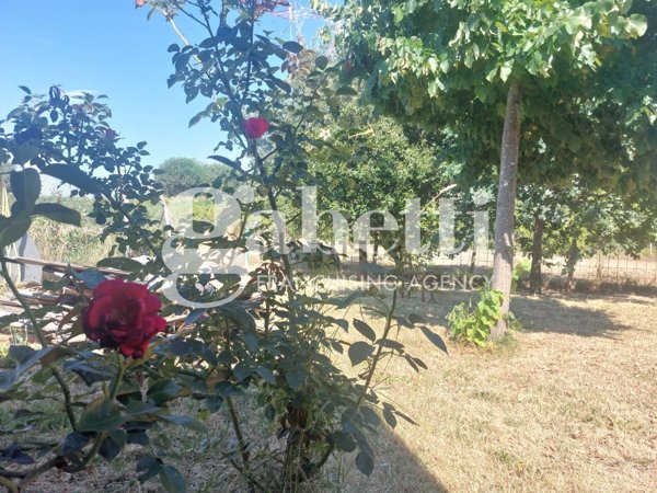 terreno agricolo in vendita a Collesalvetti in zona Stagno