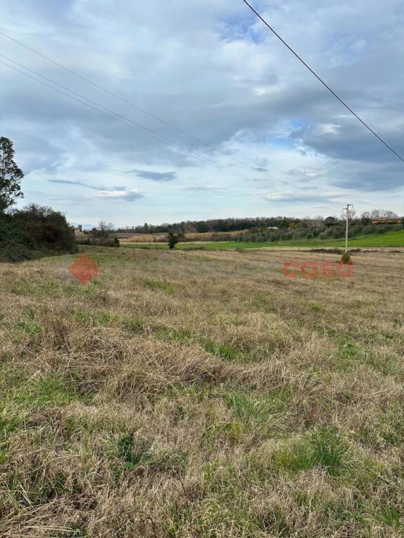 terreno agricolo in vendita a Collesalvetti