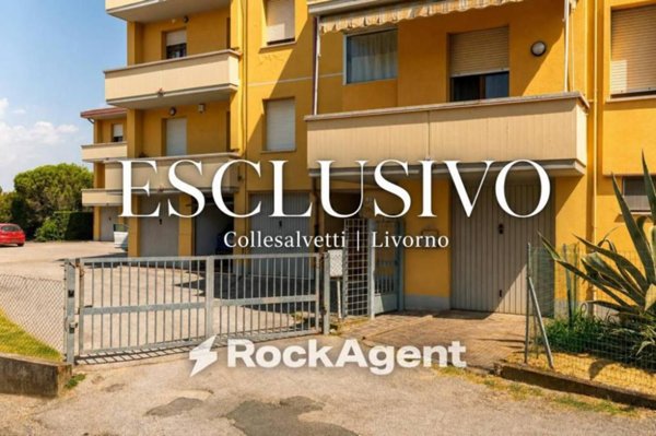 appartamento in vendita a Collesalvetti