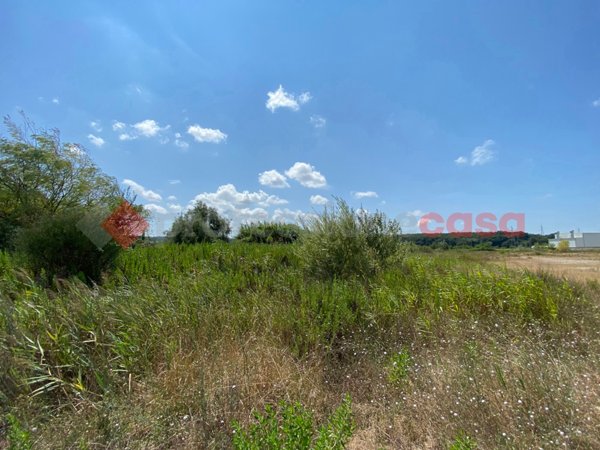 terreno edificabile in vendita a Collesalvetti in zona Guasticce