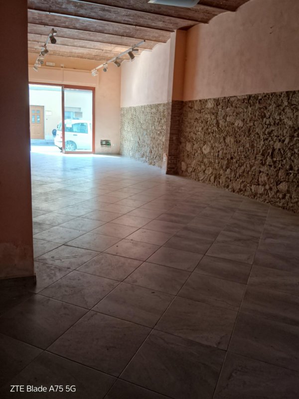 locale commerciale in vendita a Collesalvetti
