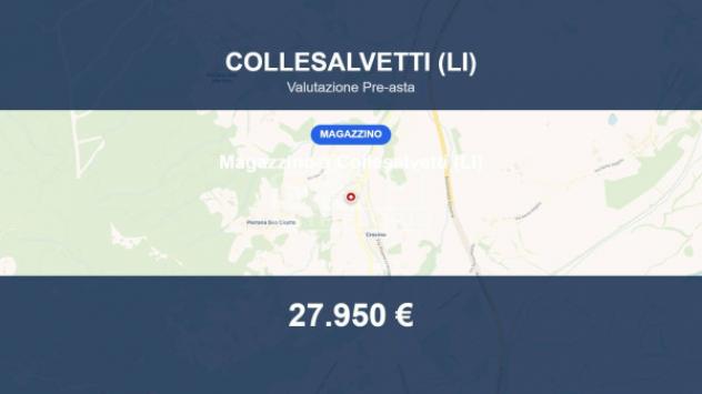 locale commerciale in vendita a Collesalvetti