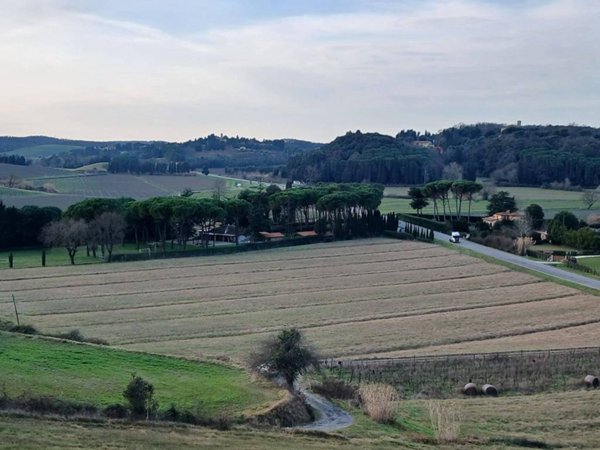 casa indipendente in vendita a Collesalvetti