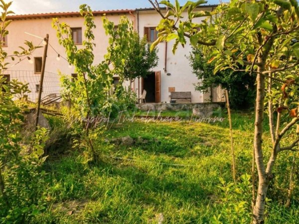 casa indipendente in vendita a Collesalvetti